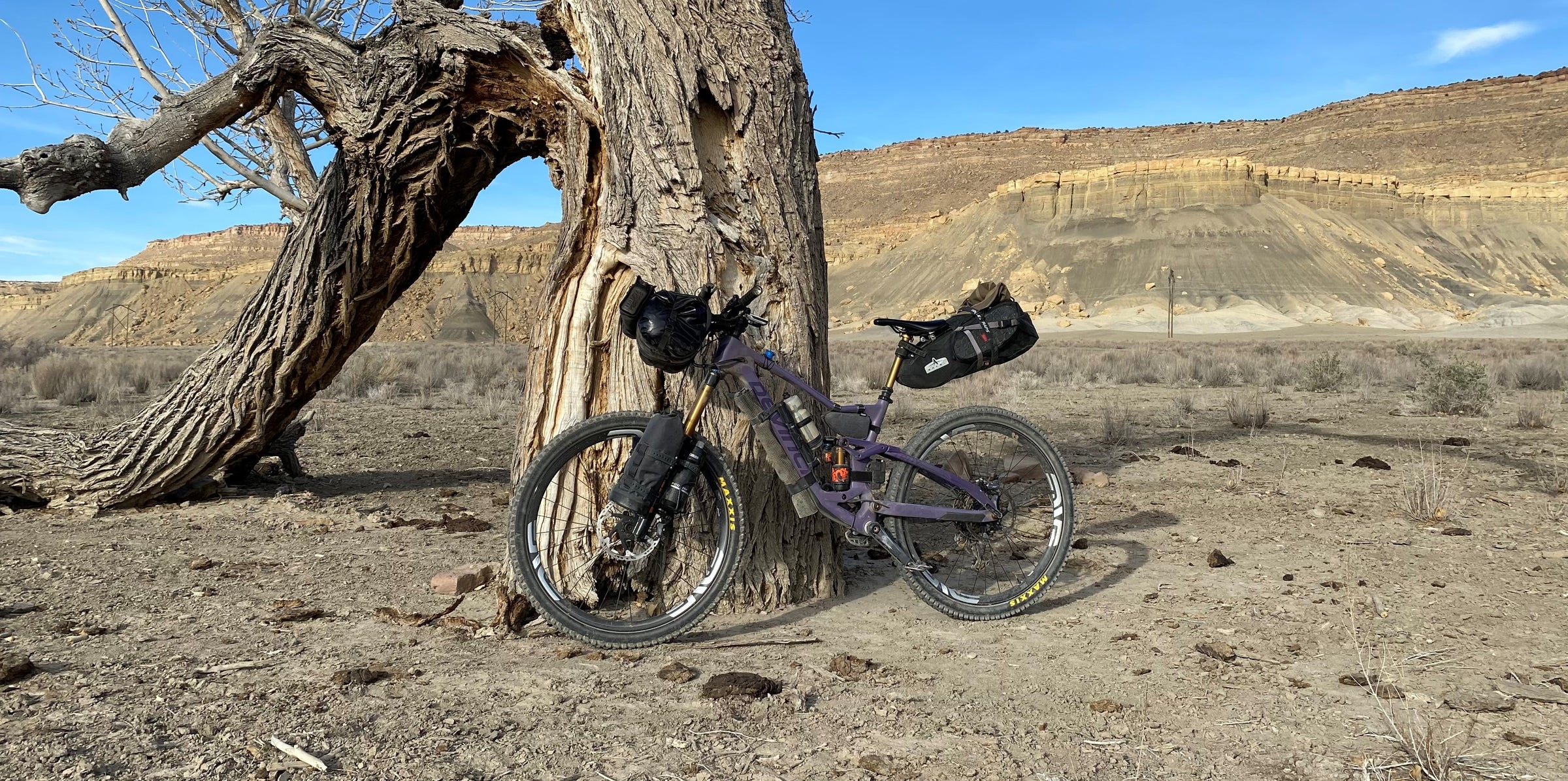 Saddle Bags
