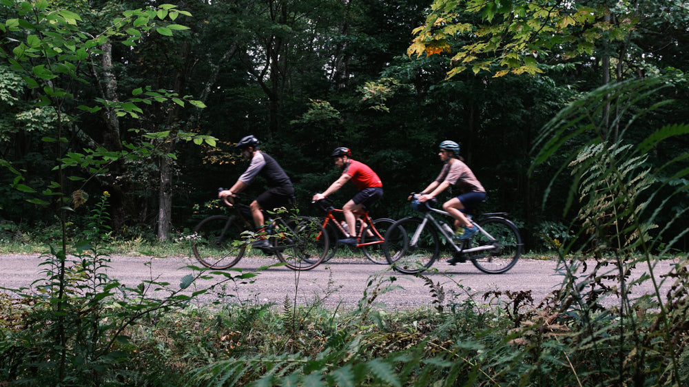 bike_forest_canada_arkel_bike_bag